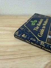 The Holistic Guide to Wellness by Nicole Apelian English Paperback Book