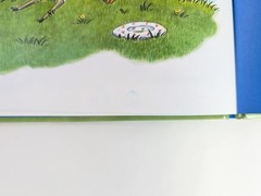 Duck To The Rescue John Himmelman Hardcover Book With Dust Jacket Kids Book