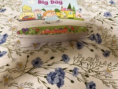 SCHOLASTIC VOCABULARY TALES 20 PB Books Vocabulary K-1st Grade Homeschooling