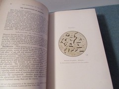 2 Principles of Pathology volume 1 & 2 George Adami general & systemic medical