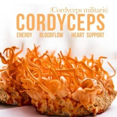 Gold Metal – Cordyceps and Lion’s Mane Blend – (4oz./120ML)