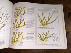 Vintage 1978 Reader’s Digest Illustrated Gardening 672 Pages Hardcover Book