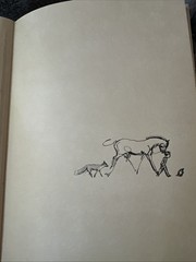 The Boy, the Mole the Fox & the Horse Charlie Mackesy Hardcover 1st Edition Book