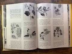 Patios and Gardens of Mexico, 1988, O’Gorman, 9 X 11 Inches
