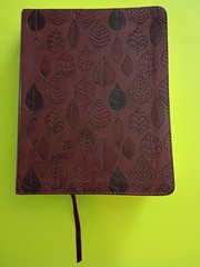 ESV Single Column Journaling Bible (TruTone, Chestnut, Leaves Design) Crossway