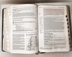 NIV Life Application Study Bible (Genuine Leather, Thumb Indexed, Gilt Edges)