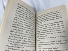The Year of Miss Agnes by Kirkpatrick Hill