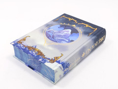 Dire Bound by Sable Sorensen FairyLoot Exclusive Edition – Hardcover Unsigned