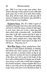 1869 Preserving, Pickling & Canning, Fruit Manual Book 88 Pages
