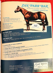 SALE ENDS 6/15! 1986 QUARTER HORSE JOURNAL Book – DYNAMIC DELUXE, ZAN PARR BAR