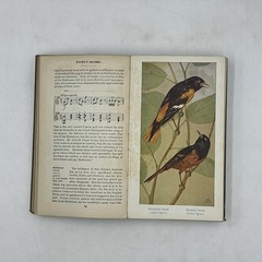 Vintage Field Book Of Wild Birds And Their Music Mathews HC Revised 1921 USA