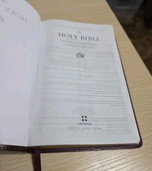 ESV Large Print Value Thinline Bible (TruTone, Mahogany, Border Design) by…