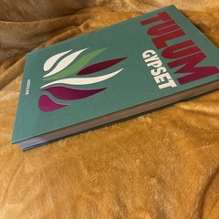 1st Edition Tulum Gypset by Julia Chaplin Coffee Table Book HC 2019 Photography