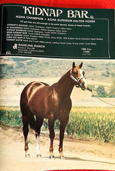 1979 Quarter Horse Journal, Book, STALLION EDITION! – KIDNAP BAR – ZAN PARR BAR