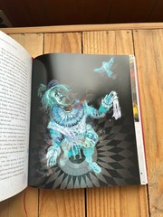 Harry Potter and the Sorcerer’s Stone: The Illustrated Edition Book 246 Pages HC