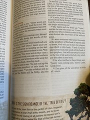 ESV Following Jesus Bible; TruTone, Br- 9781433545535, imitation leather, Bibles