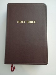 Giant Print Handy Size Bilbe NASB Amg 2011 Burgandy Imitation Leather 1977 ED