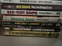 Vintage WESTERN PB Book Lot of 10 L’Amour Rigoni Elston Brand Patten Browne VG++