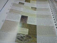 ROSE BOOK OF BIBLE CHARTS MAPS AND TIME LINES NEAR EXCELLENT