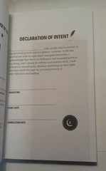 The Shadow Work Journal A Guide to Integrate & Transcend your Shadows Self Help