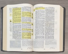 UNMARKED Salem Kirban Reference Bible KJV Bonded LEATHER King James Version AMG