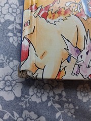 Pair of „Let’s Find Pokemon!” Hardcover GOLD & SILVER / SPECIAL COMPLETE EDITION
