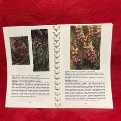 Wild Wildflowers of the West by Edith S. Kinucan and Penney R. Brons 1985 3rd Pr