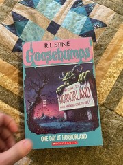 Goosebumps Books Lot of 8 – One 1990s, others from 2000s RL Stine Not Numbered