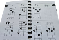 2004 MANDOLIN CHORDS Gig Bag Series 1100+ CHORD DIAGRAMS Music BLUEGRASS Amsco