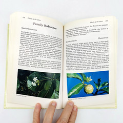 Plant Life of the Great Barrier Reef & Adjacent Shores A.B. Cribb J.W. Cribb HC