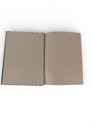 Grimoire Arin Murphy-Hiscock Adams Media Black Gold HC Witchcraft Magic Journal