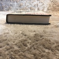 Jurassic Park Science Thriller Hardcover Michael Crichton 1990 First Edition