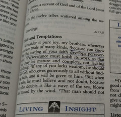 The Living Insights Study Bible NIV Zondervan Bonded Leather 1996 Swindoll Navy