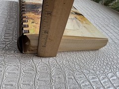 VTG Cookbook DOWN HOME IN HIGH STYLE 3rd Printing 1983 Dothan Alabama 396 Pages