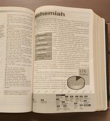 Tim LaHaye Prophecy Study Bible NKJV Genuine Leather Burgundy Vintage 2001