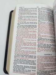 Holy Bible KJV Words of Christ in Red Concordance Nelson 4225 Gilt Page Edges