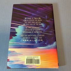 Lot 2 ~ Hardcover Books ~ MARIE LU ~ SKYHUNTER and STEELSTRIKER ~ Roaring Brook