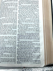 Prophecy Study Bible John Hagee Ministries Bonded Leather NKJV 1997