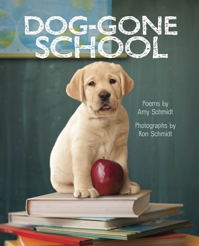 Dog-Gone School by Schmidt, Amy, Good Book