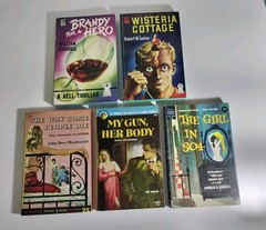 Vintage 1950s Mystery Paperback Lot Dell Lion Pocket Crime Noir 5 Books Pulp