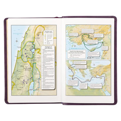 KJV Holy Bible, Standard Size Faux Leather Red Letter Edition Thumb Index & Ribb