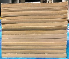 Complete Remnants Series / K. A. Applegate / Lot of 1-14