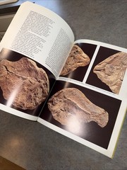 Santana Fossils: An Illustrated Atlas By Maisey Hardcover Cretaceous Fish Plants