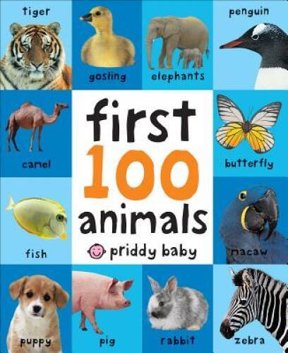 First 100 Animals – Board book By Priddy, Roger – ACCEPTABLE