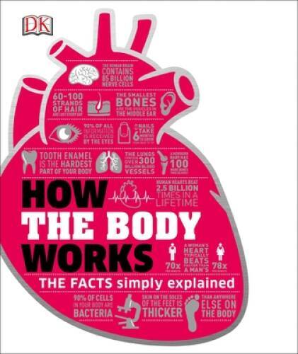How the Body Works – Hardcover By DK – VERY GOOD