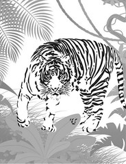 Coloring Book save the Tigers 108 Pages 8.5 x 11 for All Ages Best Tigers book