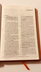Lot Of 3 Elevation Church Holy Bibles Zondervan NIV: Leathersoft Orange