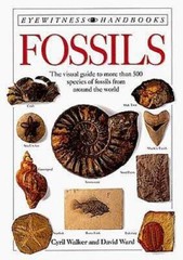 Fossils (DK Handbooks) – Paperback By Ward, David – GOOD
