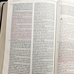 The Jack Van Impe Prophecy Bible KJV Red Letter Limited Edition Leather Bound
