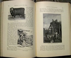 1891 OLD WEST PIONEER GUIDE CALIFORNIA NEVADA COLORADO RANCH MINING RAILROAD